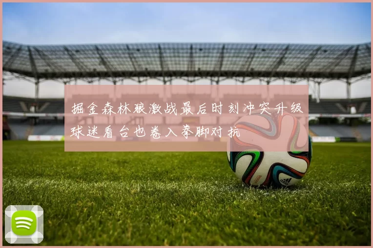 掘金森林狼激战最后时刻冲突升级球迷看台也卷入拳脚对抗