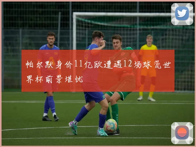 帕尔默身价11亿欧遭遇12场球荒世界杯前景堪忧